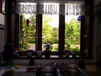 Garden View from Kitchen Sink - Best.jpg (21239 bytes)