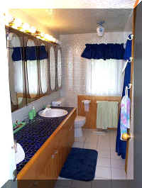 Bath Room - Bed Rooms.jpg (73580 bytes)