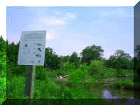 WildLifeProtectedSignageWithPond.jpg (55676 bytes)